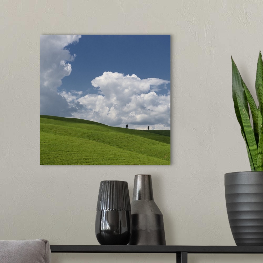A modern room featuring A photograph of a green valley with massive fluffy clouds hanging overhead.