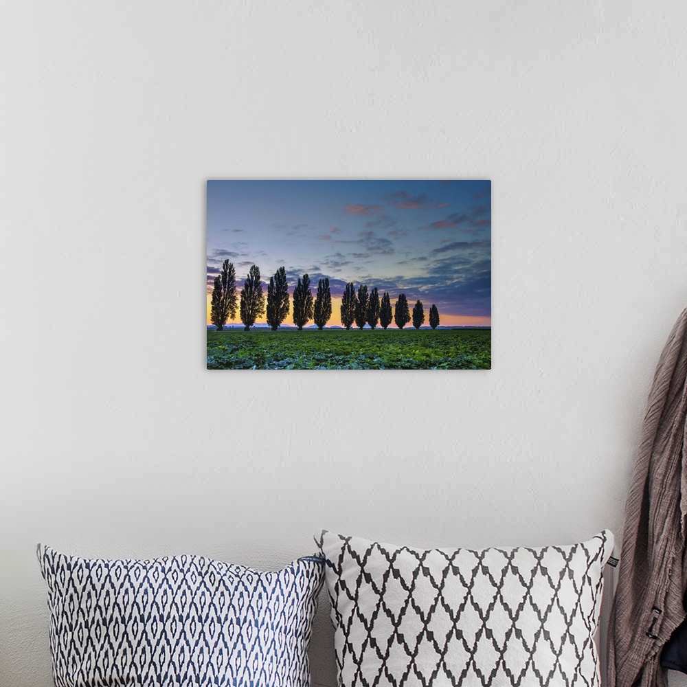 A bohemian room featuring A photograph of a Tuscan landscape with a row of trees under a sunset sky.