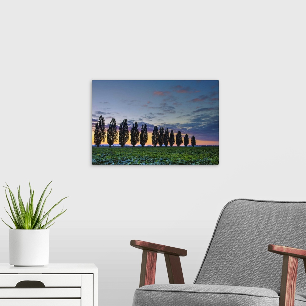 A modern room featuring A photograph of a Tuscan landscape with a row of trees under a sunset sky.