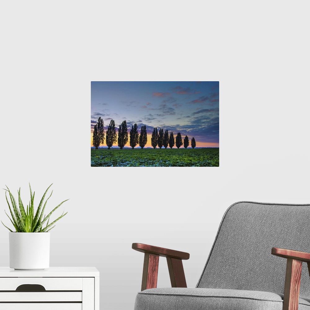 A modern room featuring A photograph of a Tuscan landscape with a row of trees under a sunset sky.