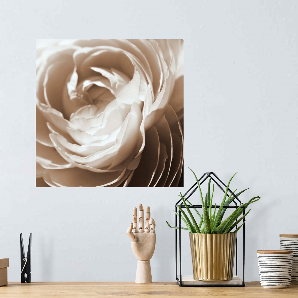 A bohemian room featuring Extreme closeup photograph of the petals of a blooming flower.