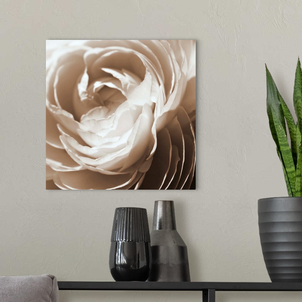 A modern room featuring Extreme closeup photograph of the petals of a blooming flower.