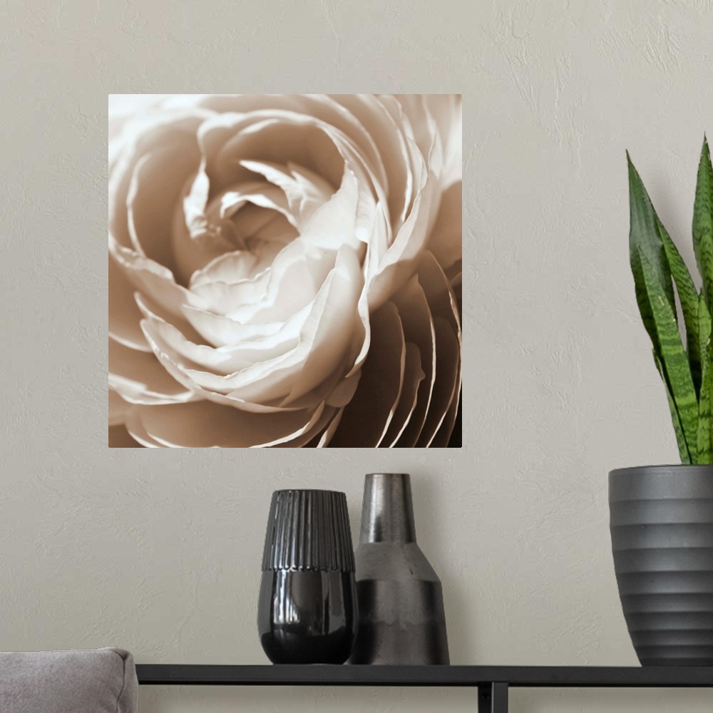 A modern room featuring Extreme closeup photograph of the petals of a blooming flower.