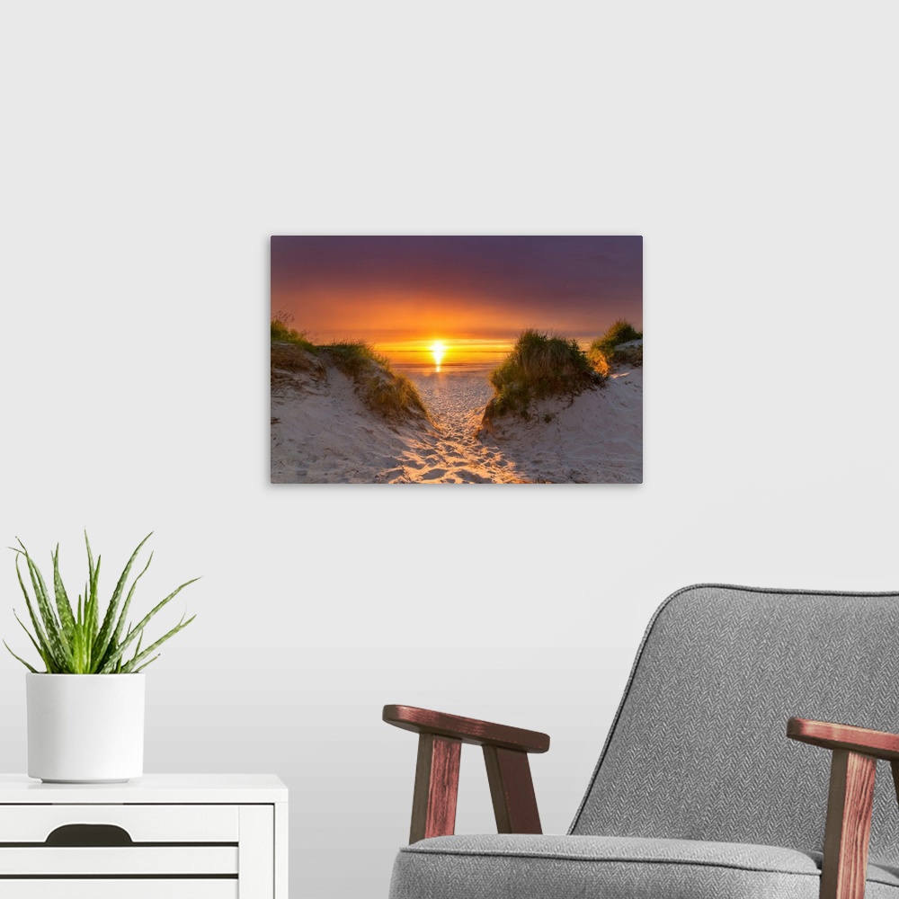 A modern room featuring Sunset Journey
