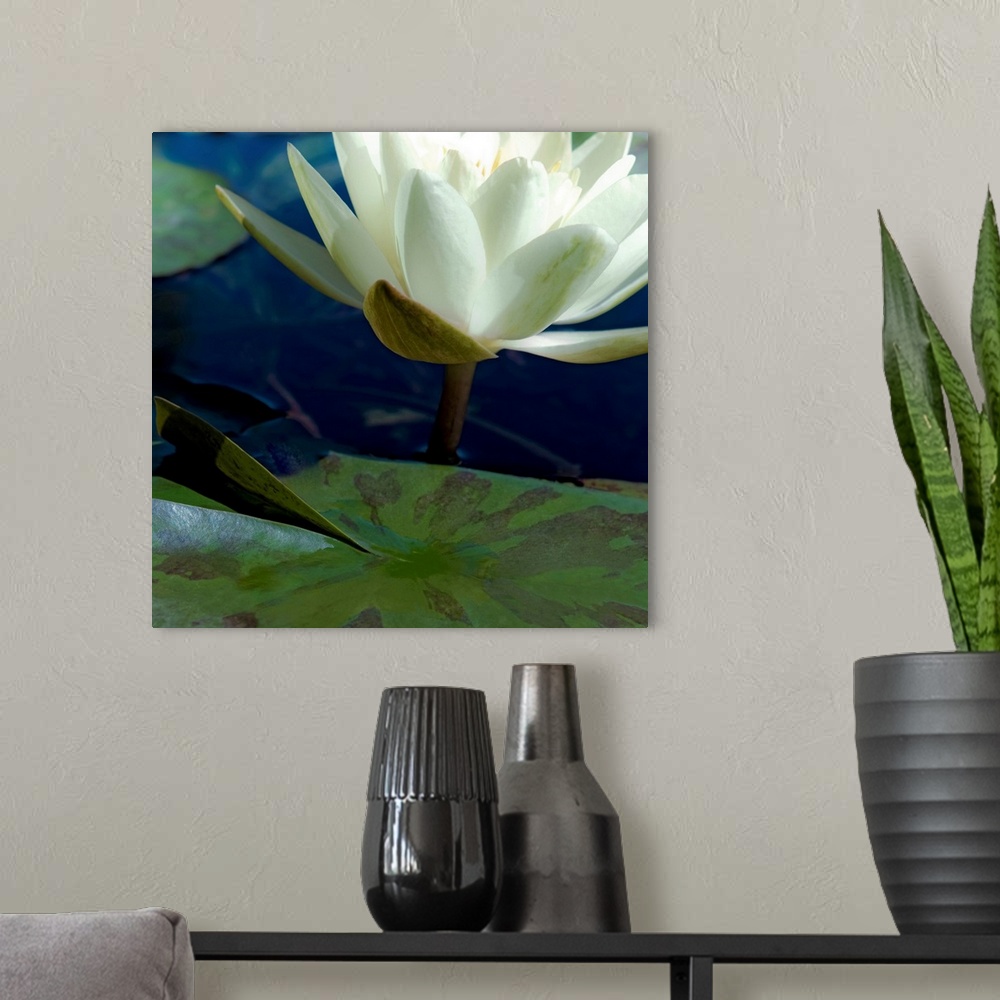 A modern room featuring Water Lilies II