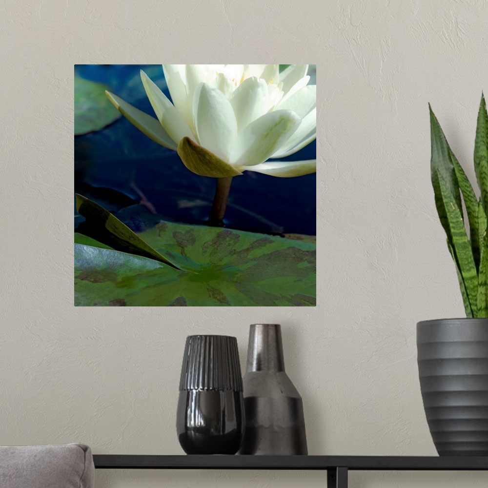 A modern room featuring Water Lilies II
