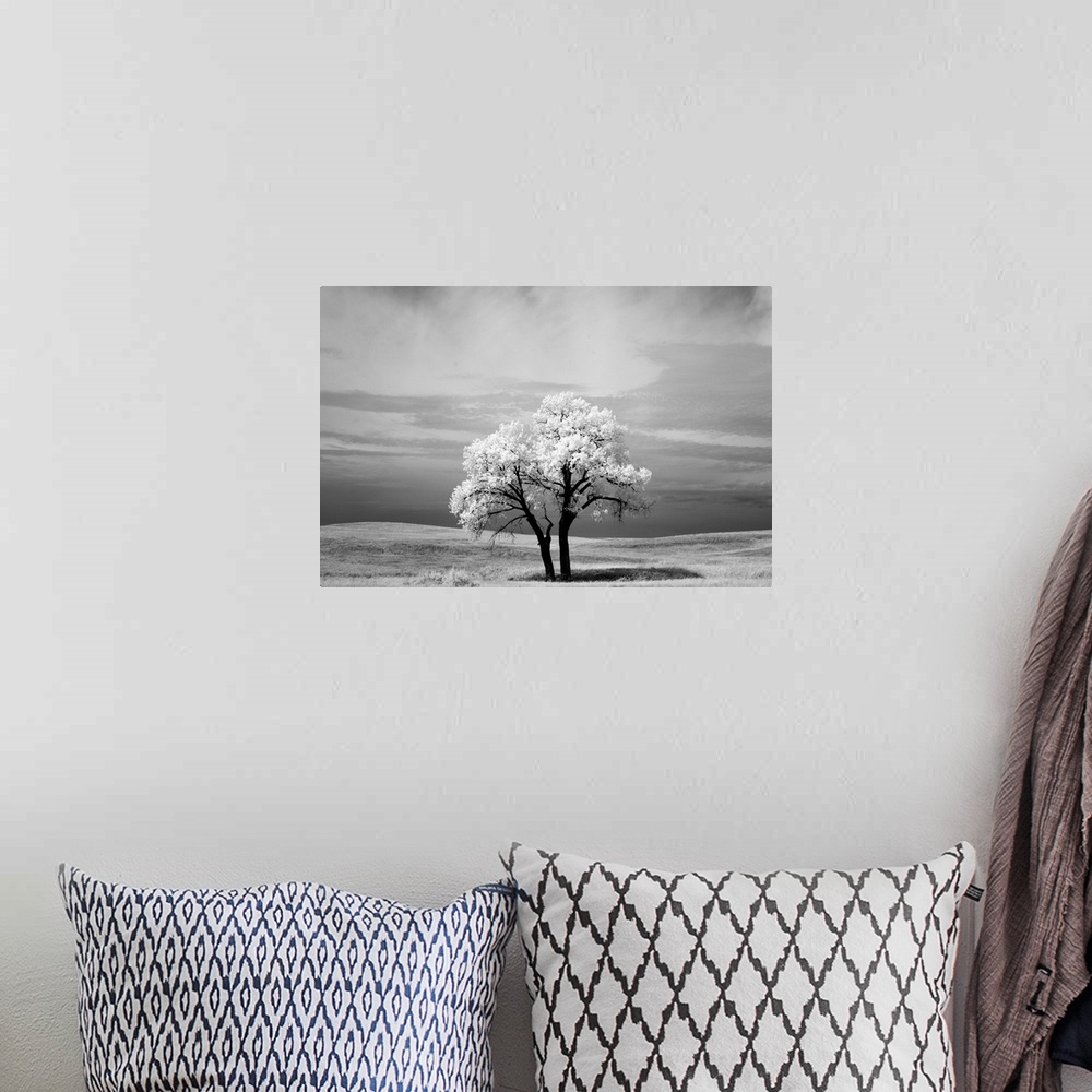 A bohemian room featuring Infrared photography image of a tree in a field in Badlands National Park in South Dakota.