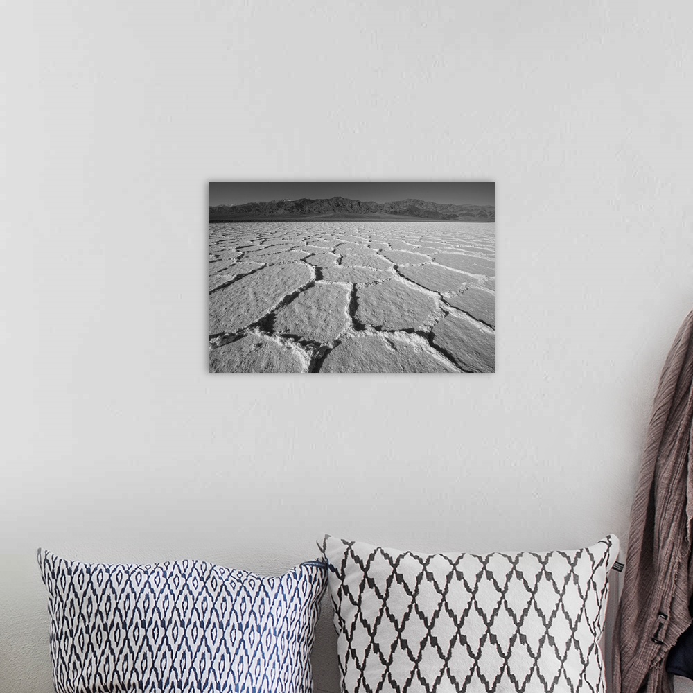 A bohemian room featuring Black and white image of dry salt flats in Death Valley, California.