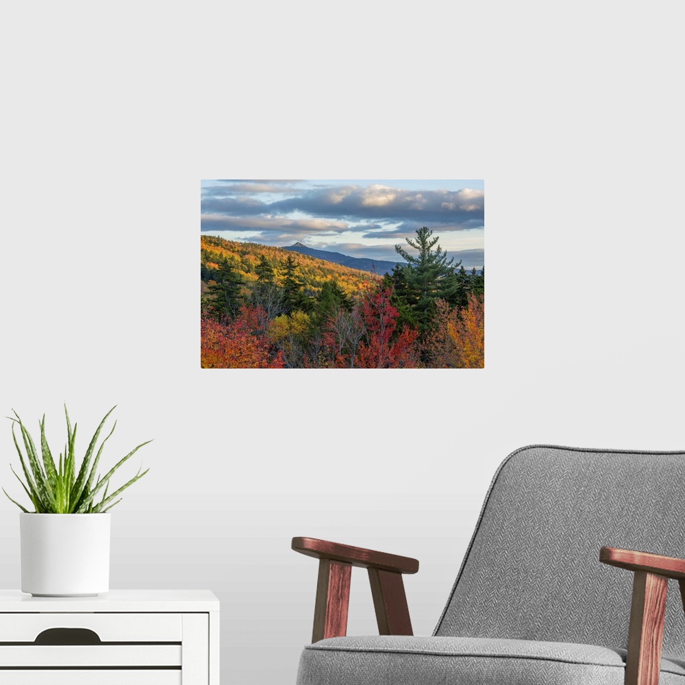 A modern room featuring Brightly colored forests in autumn in New Hampshire's Kancamagus Pass.
