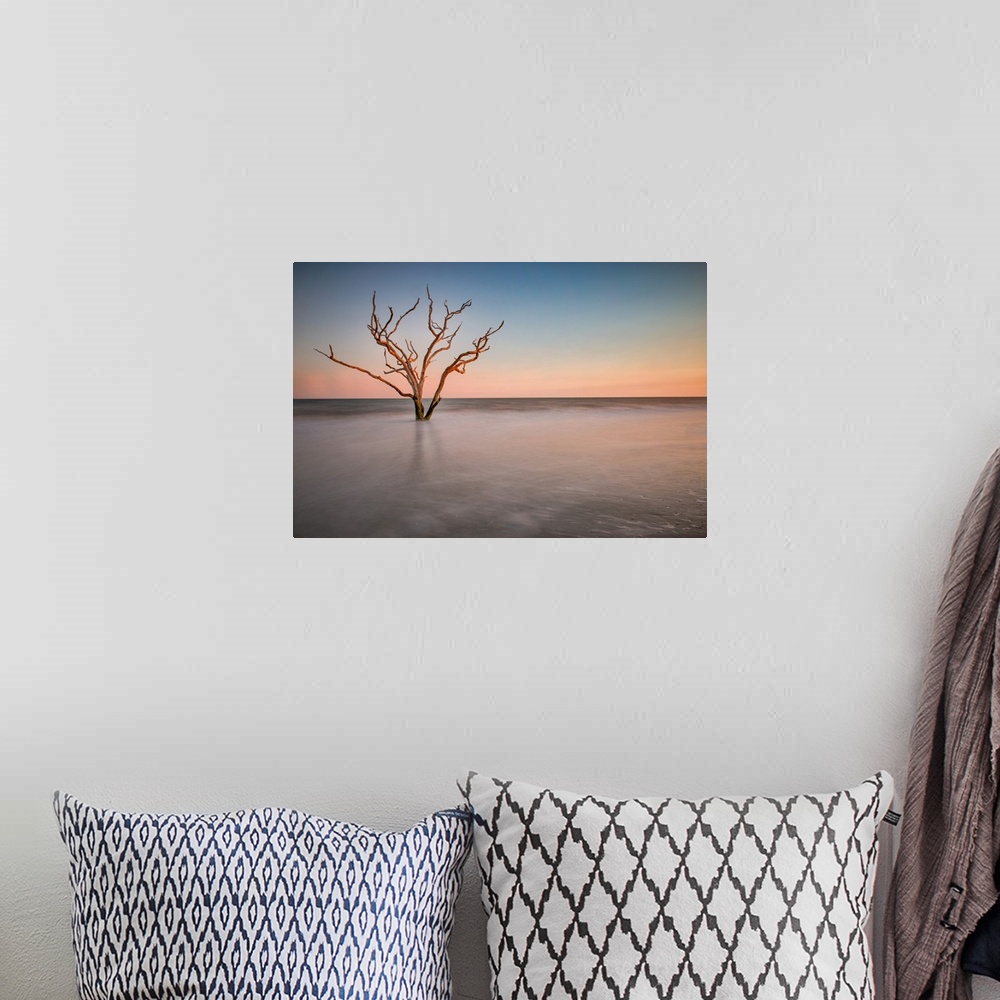 A bohemian room featuring A barren tree in the ocean on the coast of Charleston, South Carolina.