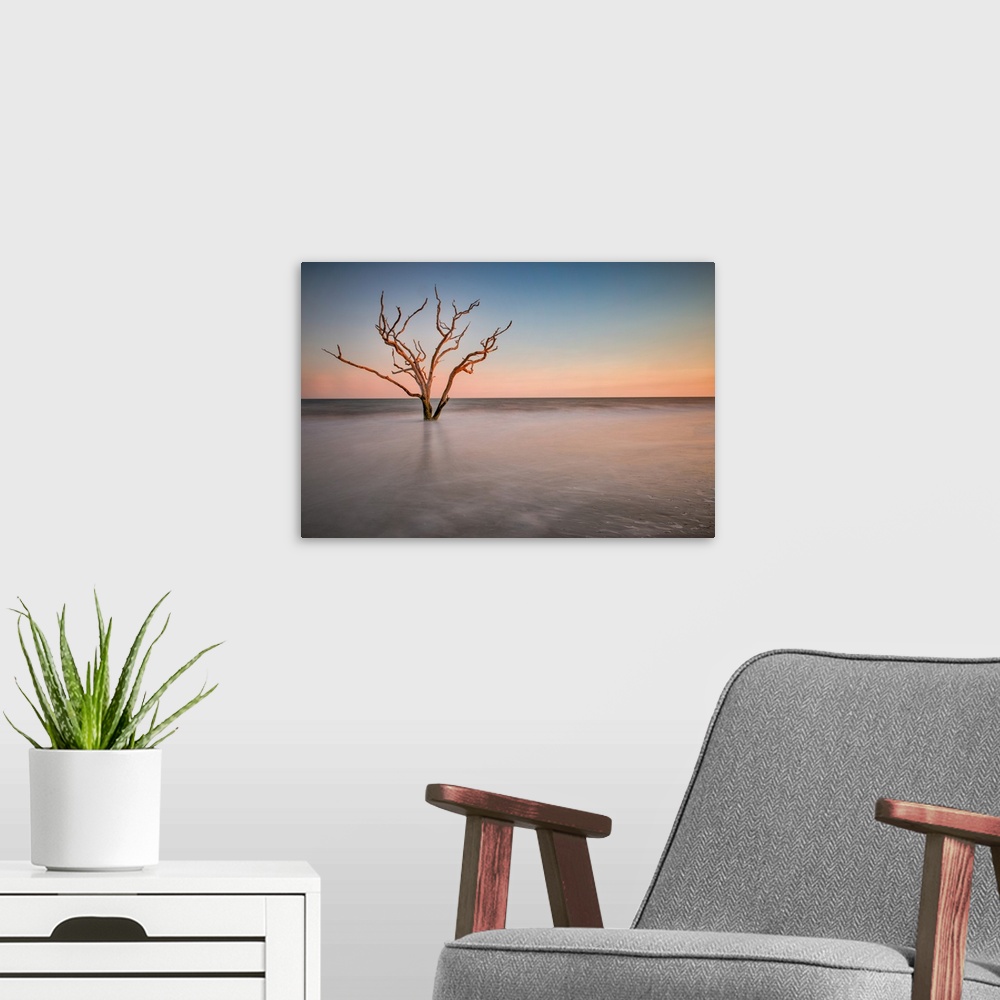 A modern room featuring A barren tree in the ocean on the coast of Charleston, South Carolina.