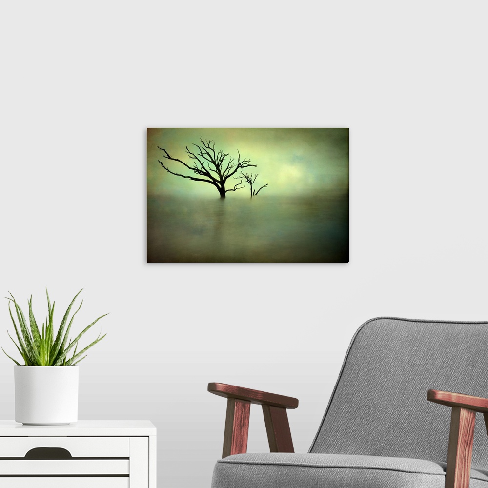 A modern room featuring Two bare trees growing out of the ocean off the South Carolina coast, with a green hue.