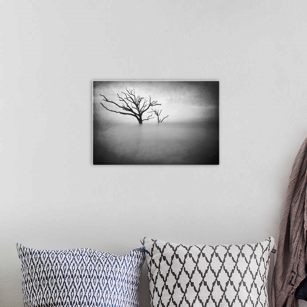 A bohemian room featuring Two bare trees growing out of the ocean off the South Carolina coast, in black and white.