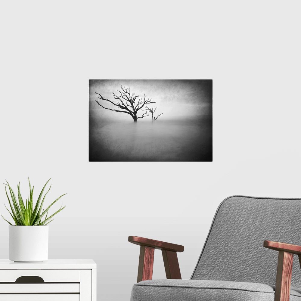 A modern room featuring Two bare trees growing out of the ocean off the South Carolina coast, in black and white.