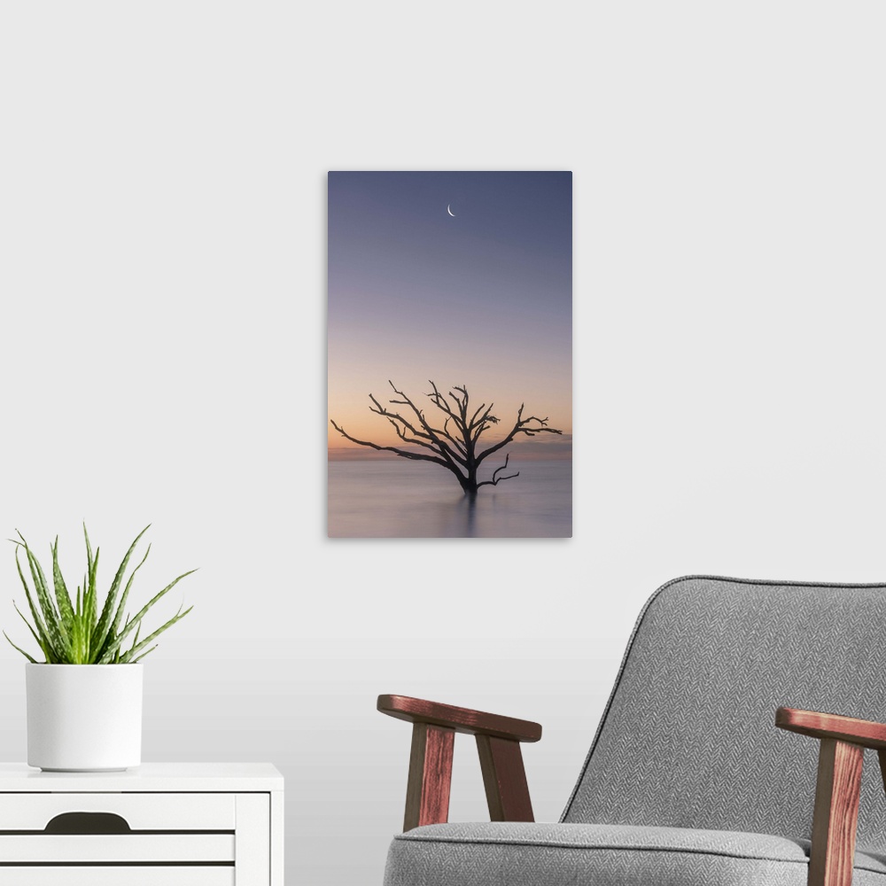 A modern room featuring A tree growing in the water off the coast of Botany Bay, South Carolina, under the moon in the ea...