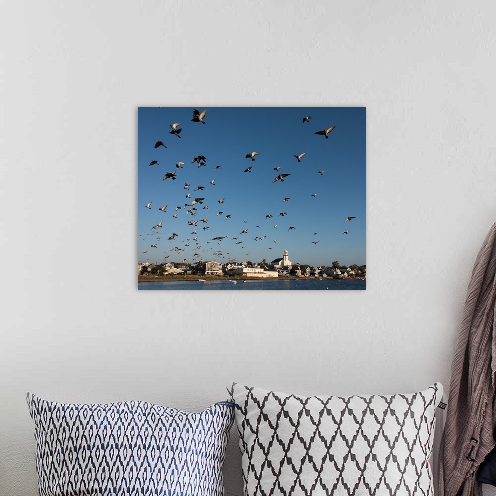 A bohemian room featuring Gulls in the sky above a wharf in Cape Cod, Massachusetts.