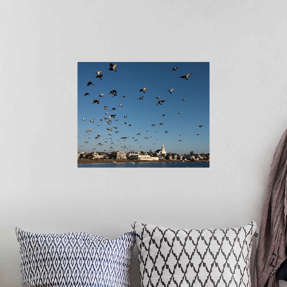 A bohemian room featuring Gulls in the sky above a wharf in Cape Cod, Massachusetts.