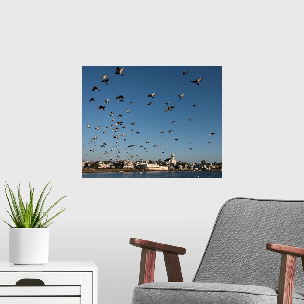A modern room featuring Gulls in the sky above a wharf in Cape Cod, Massachusetts.