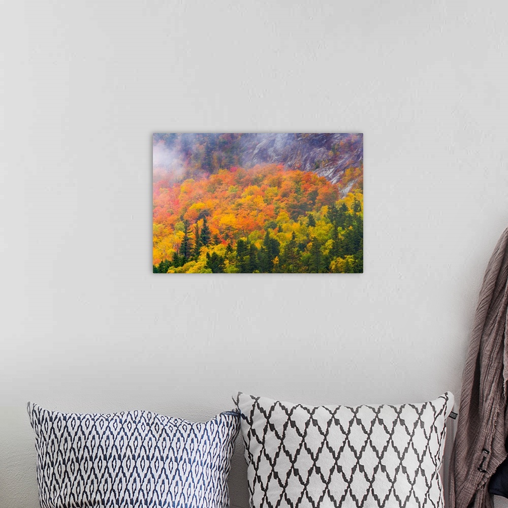 A bohemian room featuring Aerial view of a forest in bright autumn colors in New Hampshire.