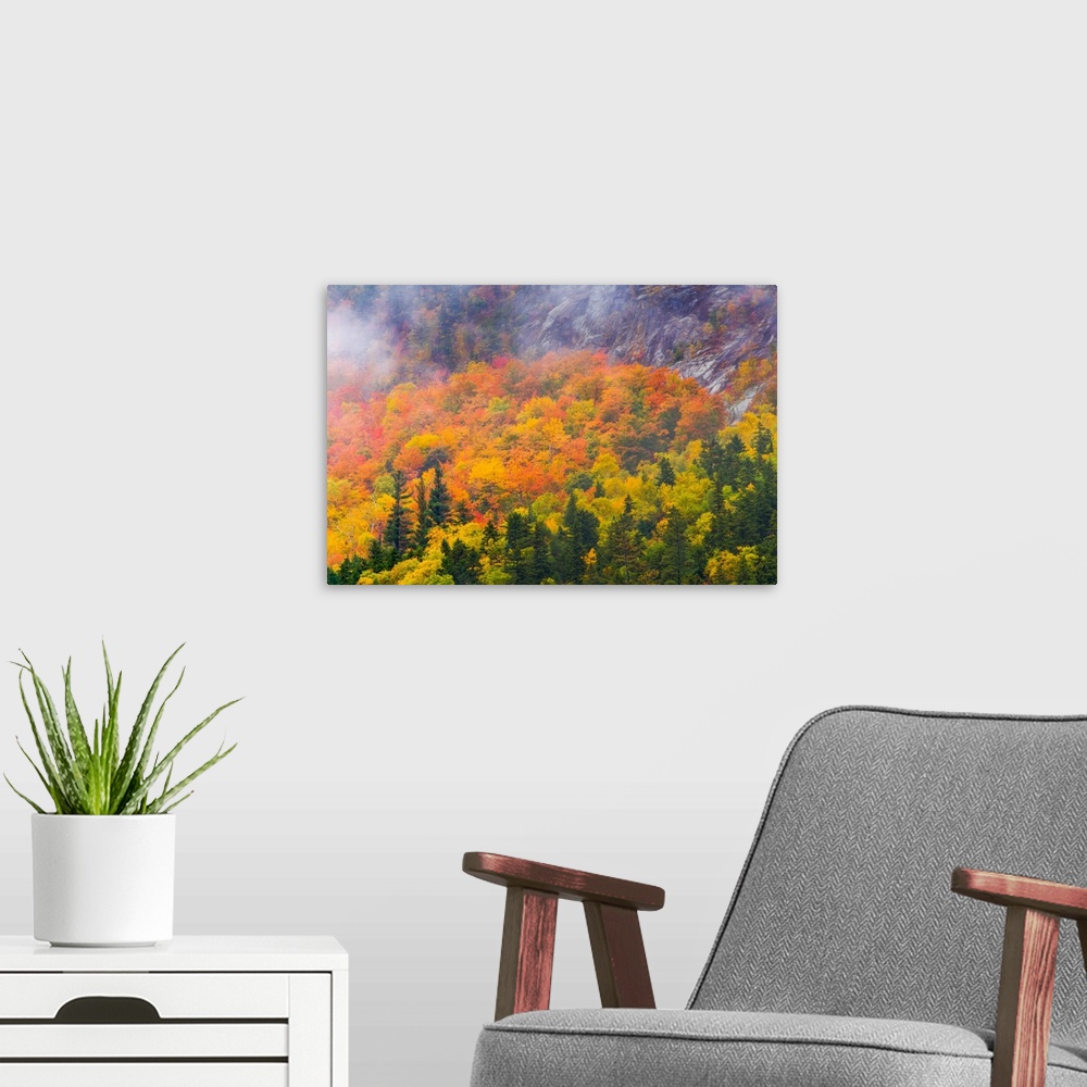 A modern room featuring Aerial view of a forest in bright autumn colors in New Hampshire.