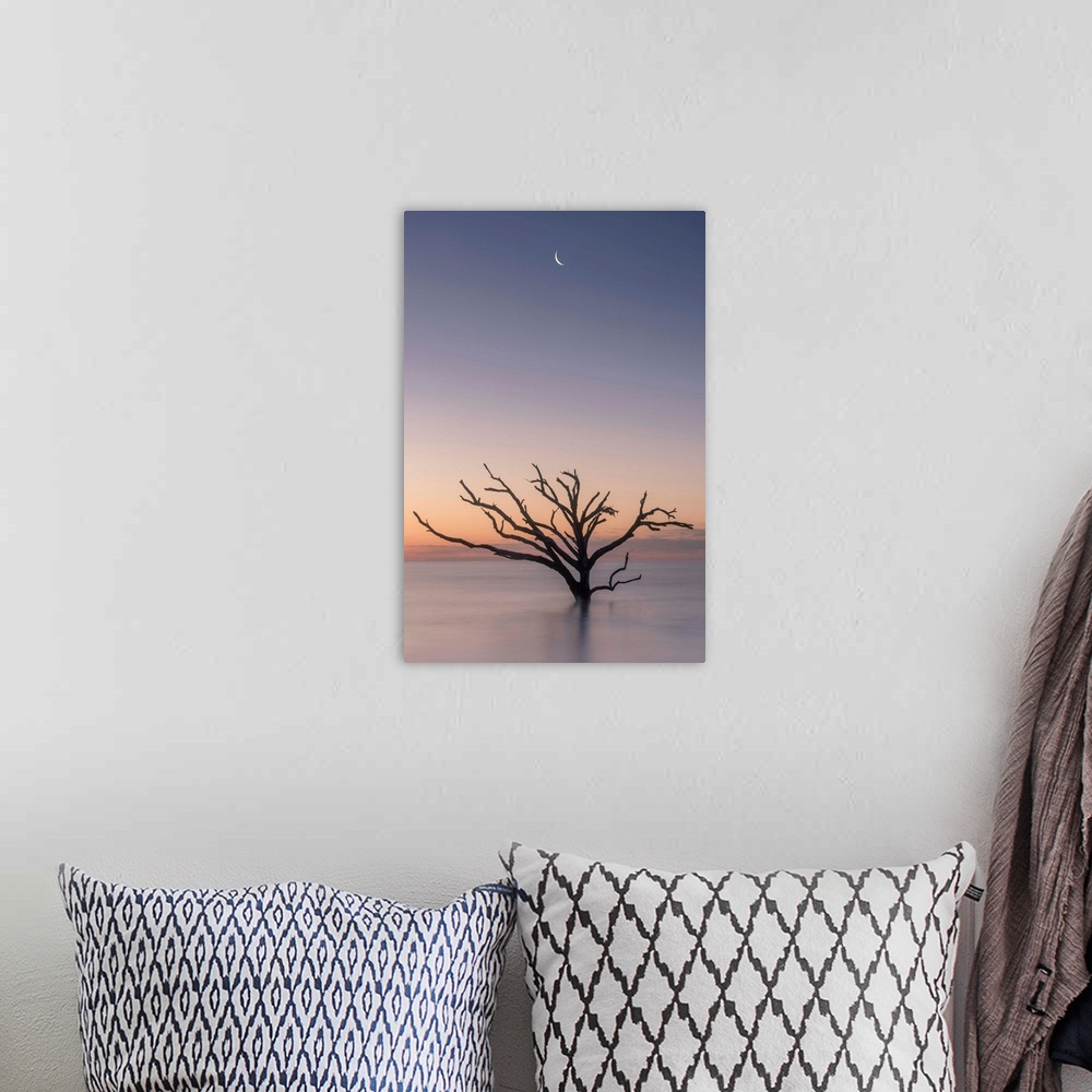 A bohemian room featuring The moon over a silhouette of a barren tree in the ocean in Botany Bat, South Carolina.