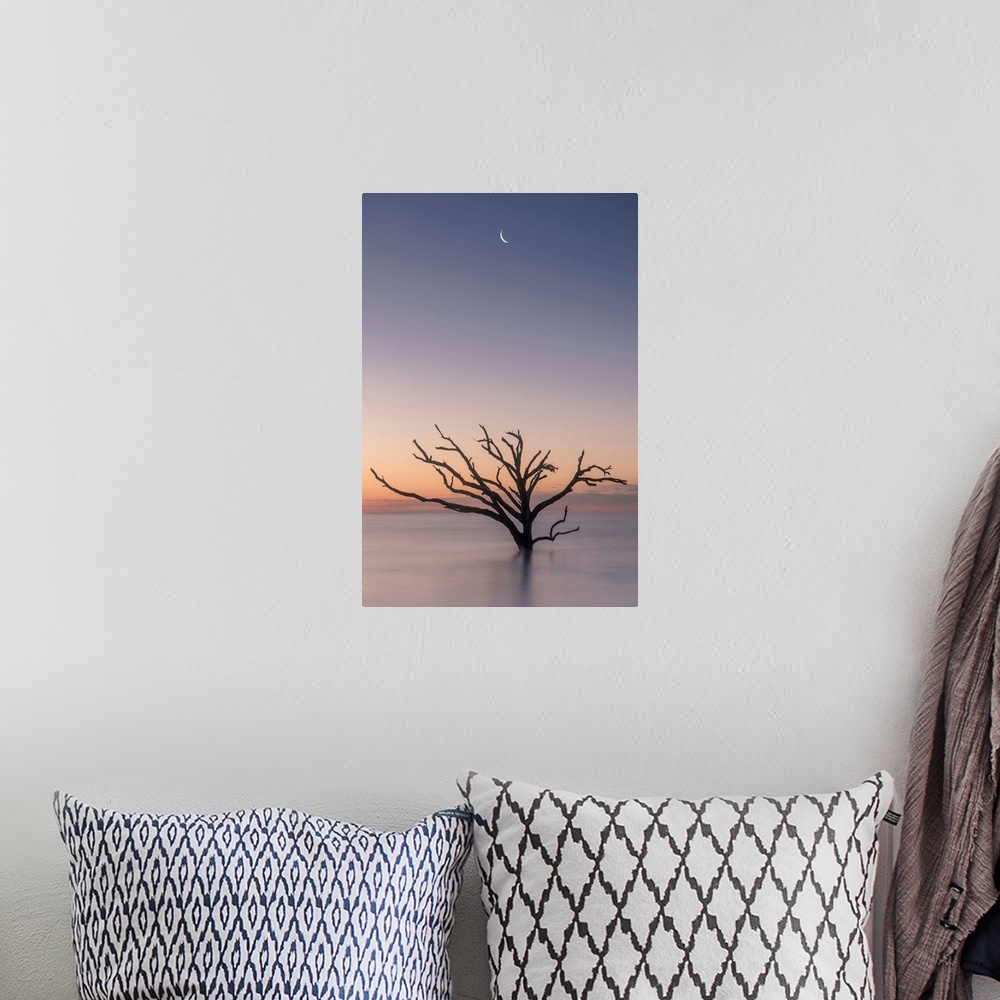 A bohemian room featuring The moon over a silhouette of a barren tree in the ocean in Botany Bat, South Carolina.