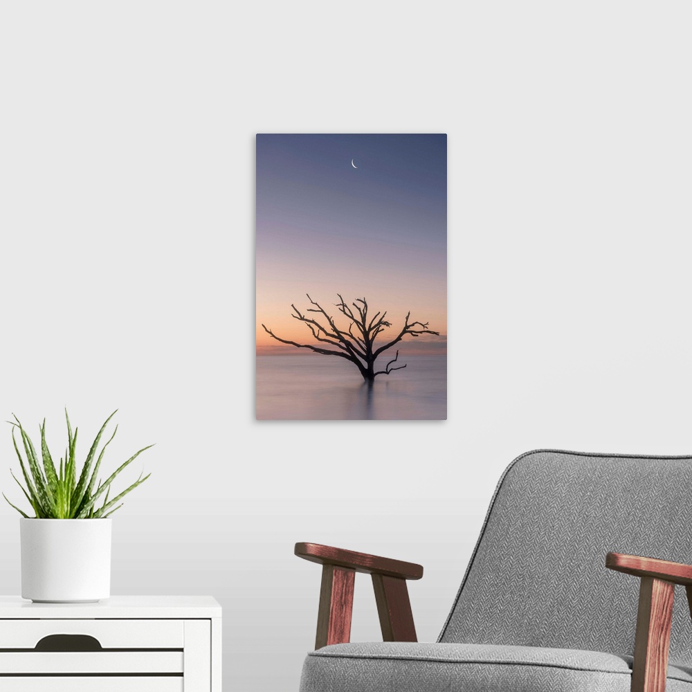 A modern room featuring The moon over a silhouette of a barren tree in the ocean in Botany Bat, South Carolina.