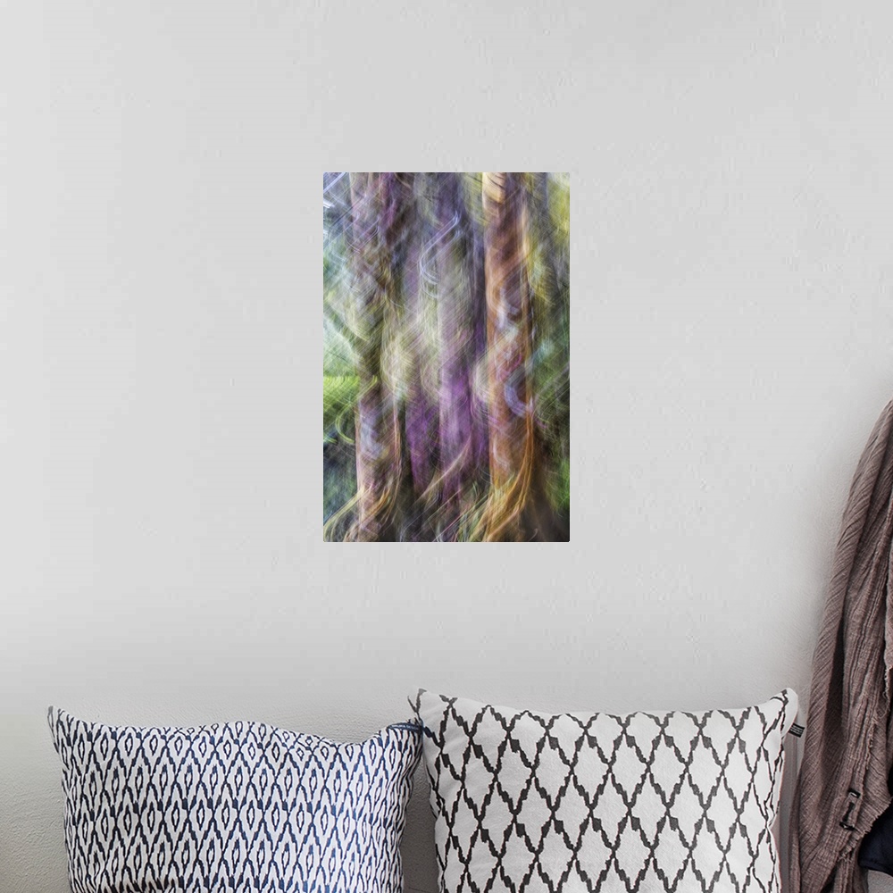 A bohemian room featuring Blurred motion photo of cypress trees in the Audubon Swamp, Magnolia Gardens, South Carolina.