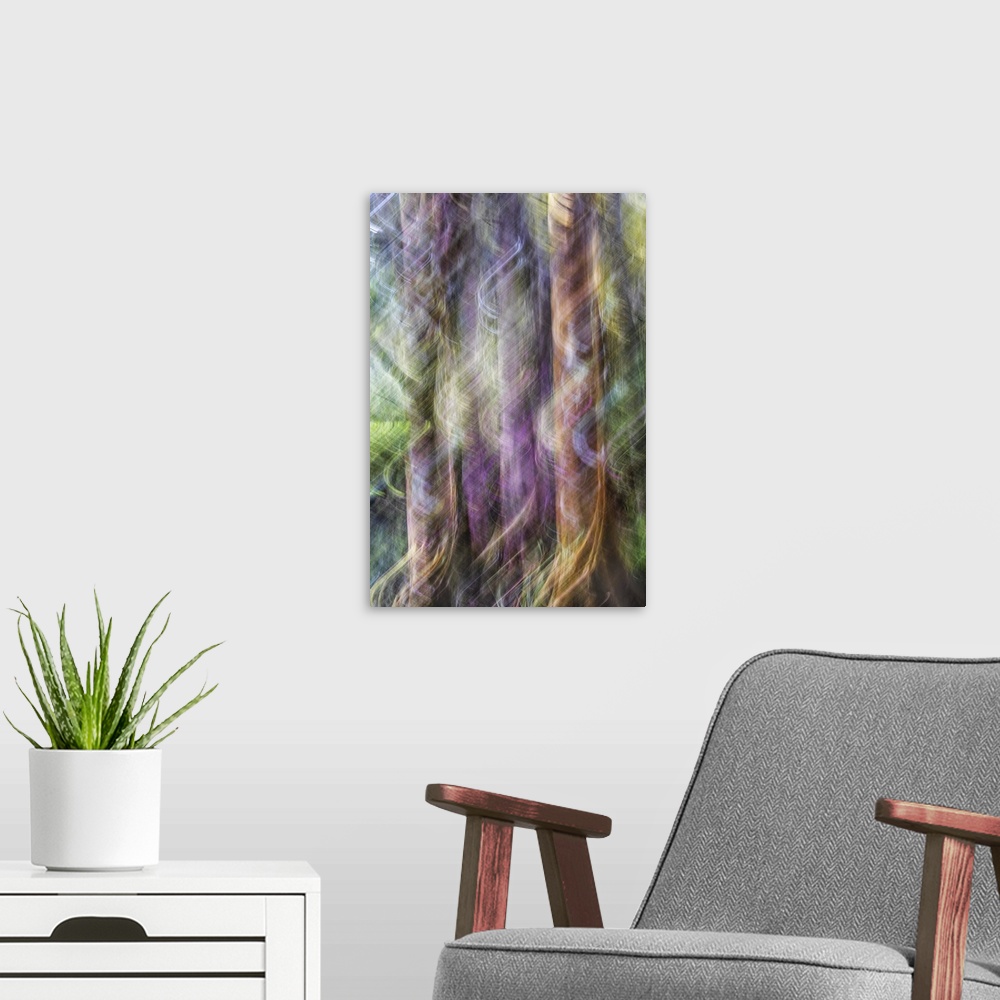 A modern room featuring Blurred motion photo of cypress trees in the Audubon Swamp, Magnolia Gardens, South Carolina.