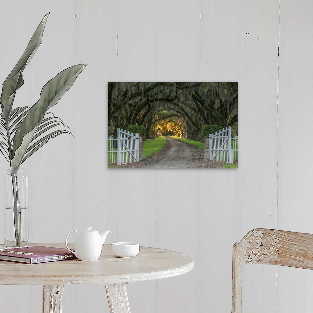 A farmhouse room featuring Road past an open gate through mossy trees with light in the distance in Charleston, South Carolina.