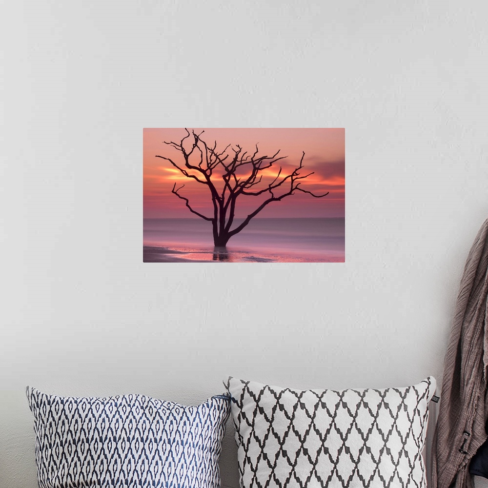 A bohemian room featuring Silhouette of a tree in the ocean with a pink sky at dawn.