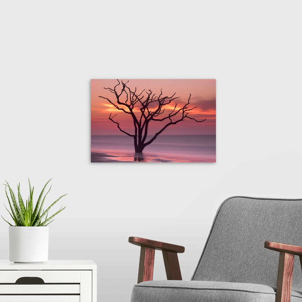 A modern room featuring Silhouette of a tree in the ocean with a pink sky at dawn.