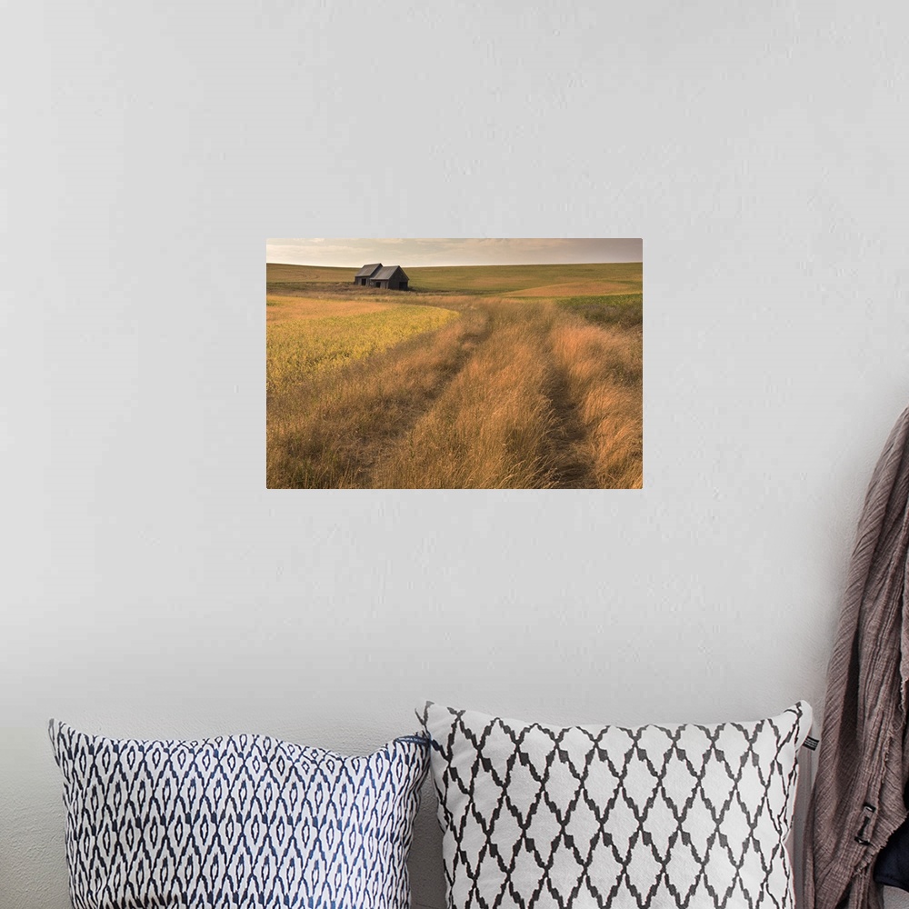 A bohemian room featuring Two distant barns in the Palouse farmland in the early evening.