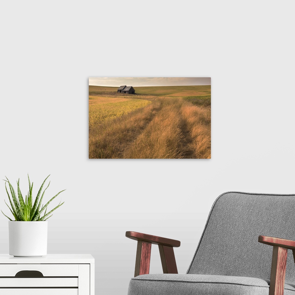 A modern room featuring Two distant barns in the Palouse farmland in the early evening.