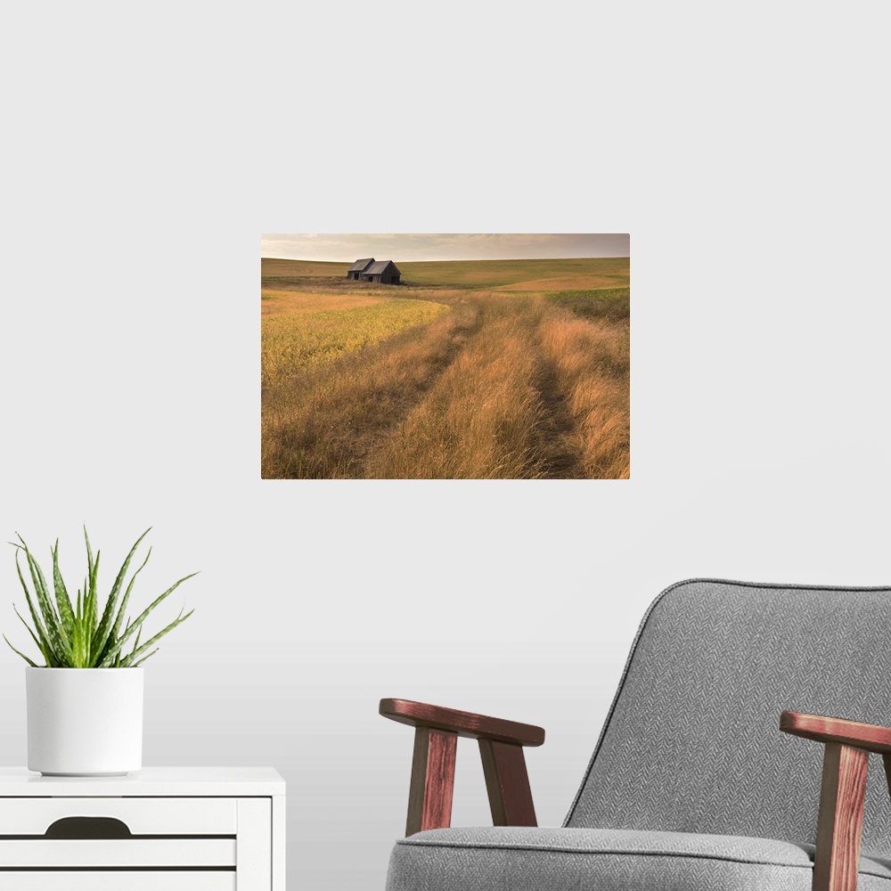 A modern room featuring Two distant barns in the Palouse farmland in the early evening.