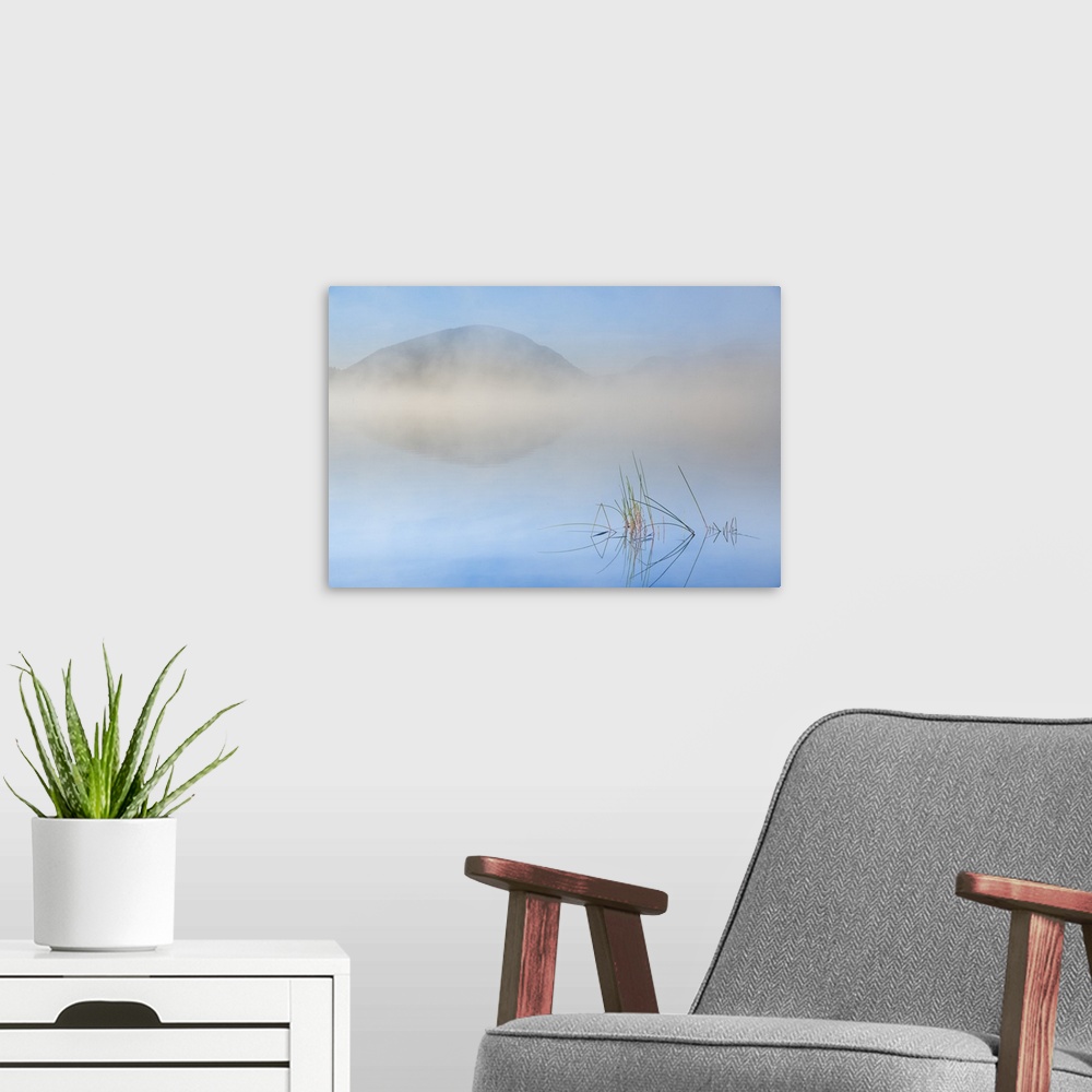 A modern room featuring Dense fog obscuring the mountains at the edge of Eagle Lake in Acadia National Park, Maine.