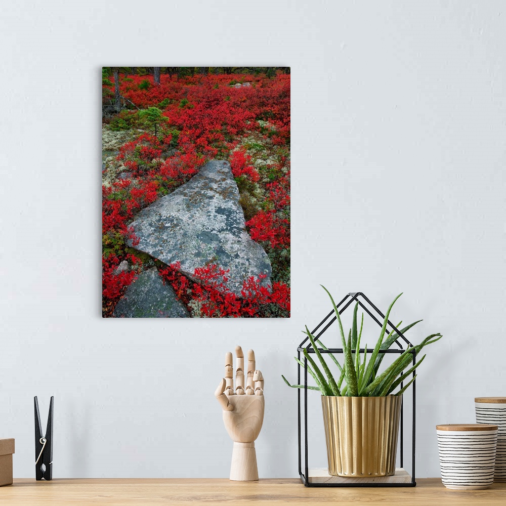 A bohemian room featuring A broken stone in a triangular shape surrounded by red wildflowers.