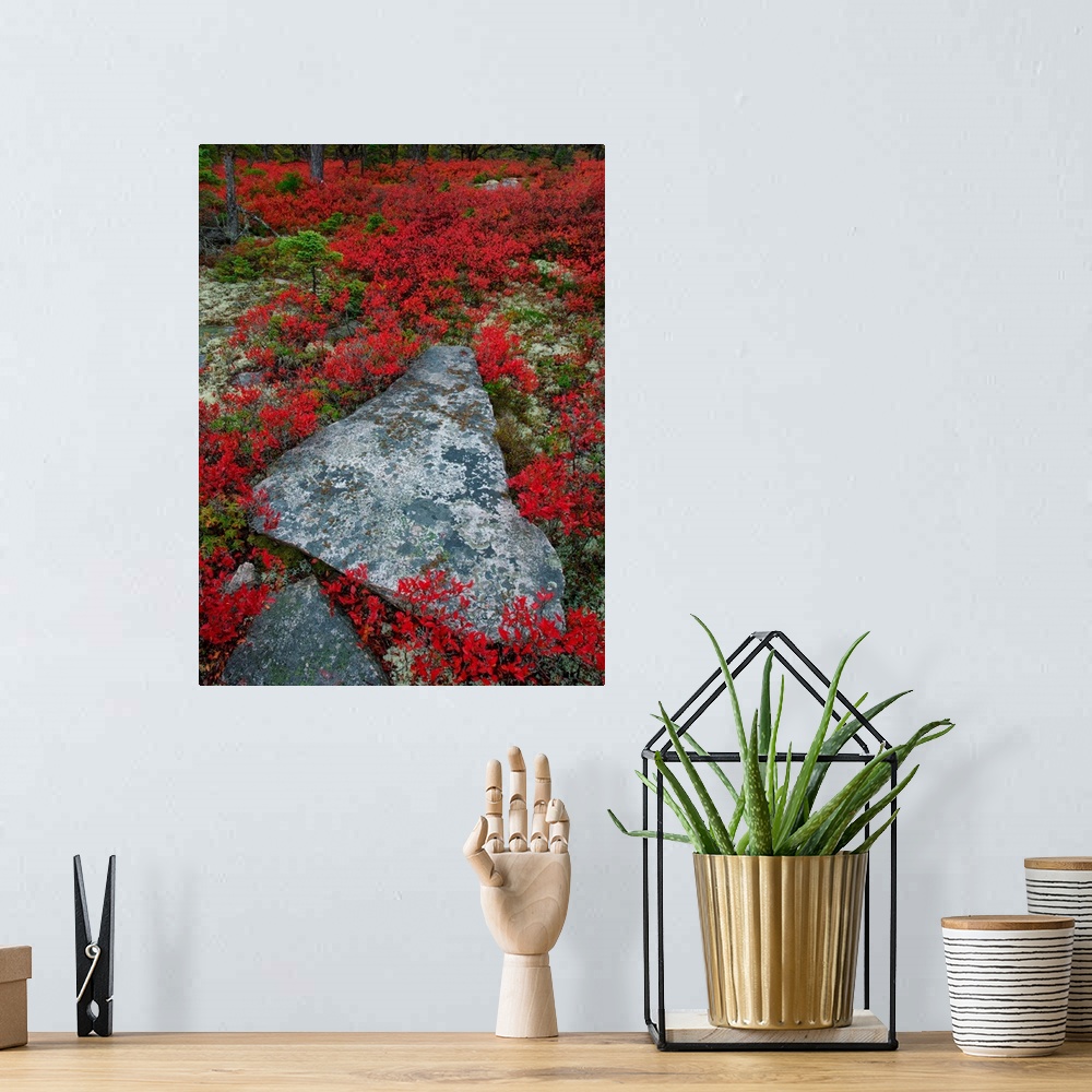 A bohemian room featuring A broken stone in a triangular shape surrounded by red wildflowers.