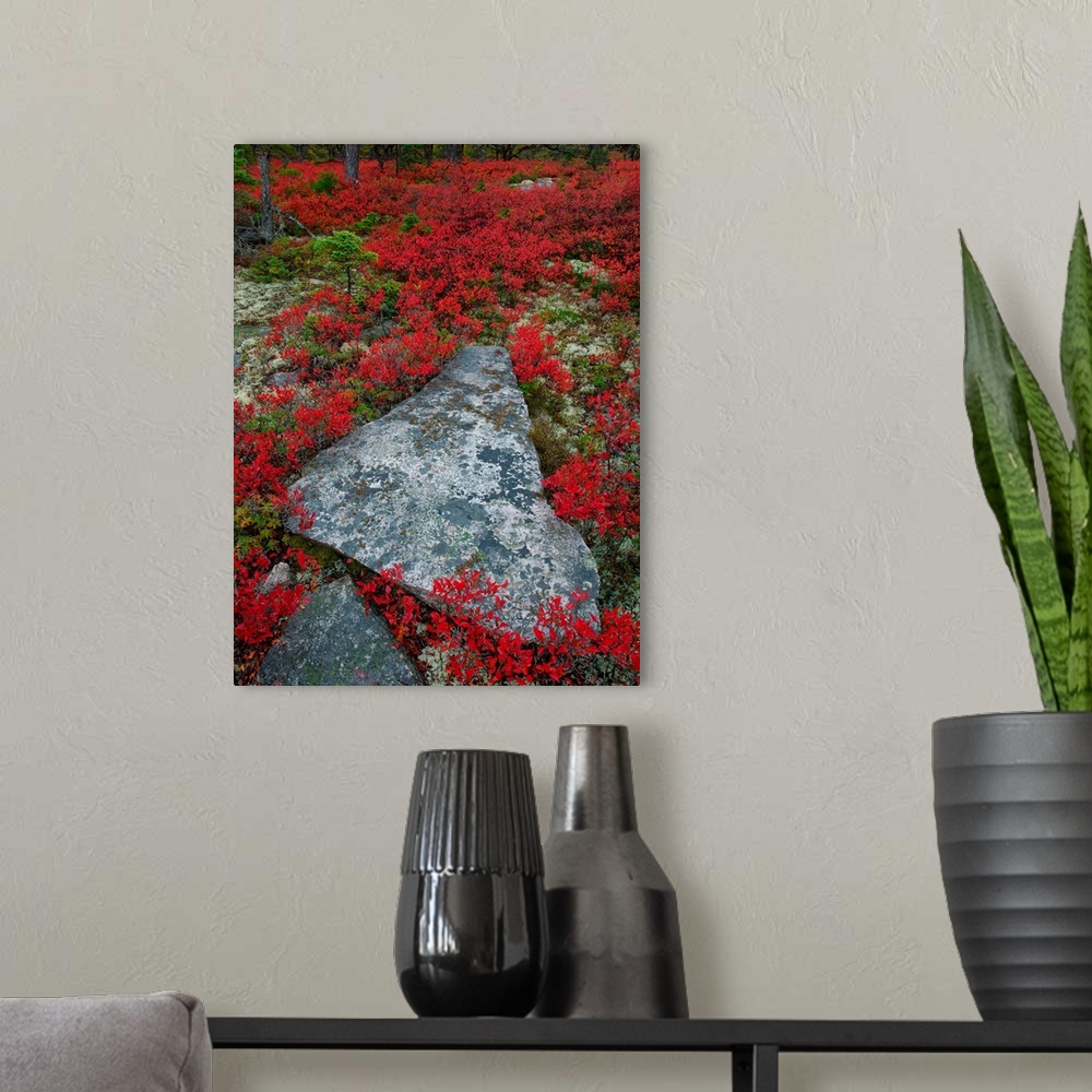 A modern room featuring A broken stone in a triangular shape surrounded by red wildflowers.