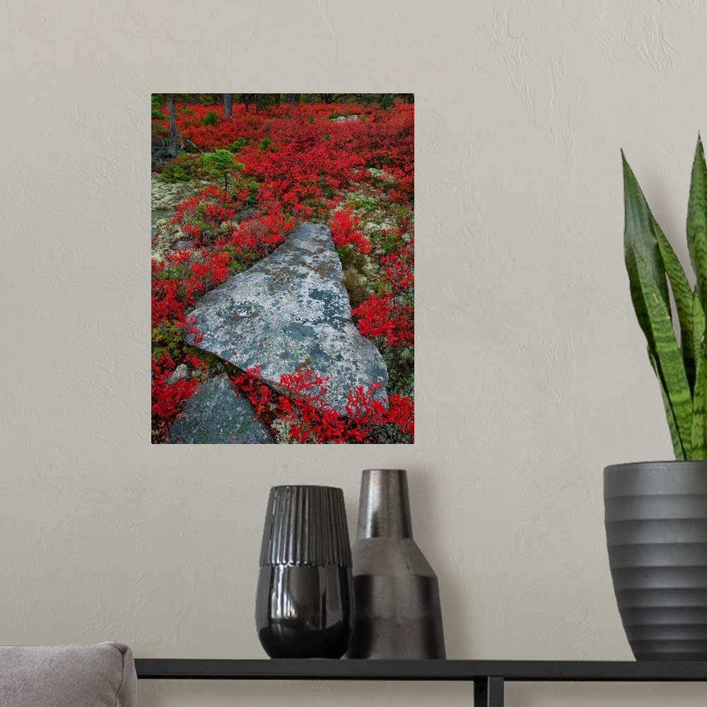 A modern room featuring A broken stone in a triangular shape surrounded by red wildflowers.
