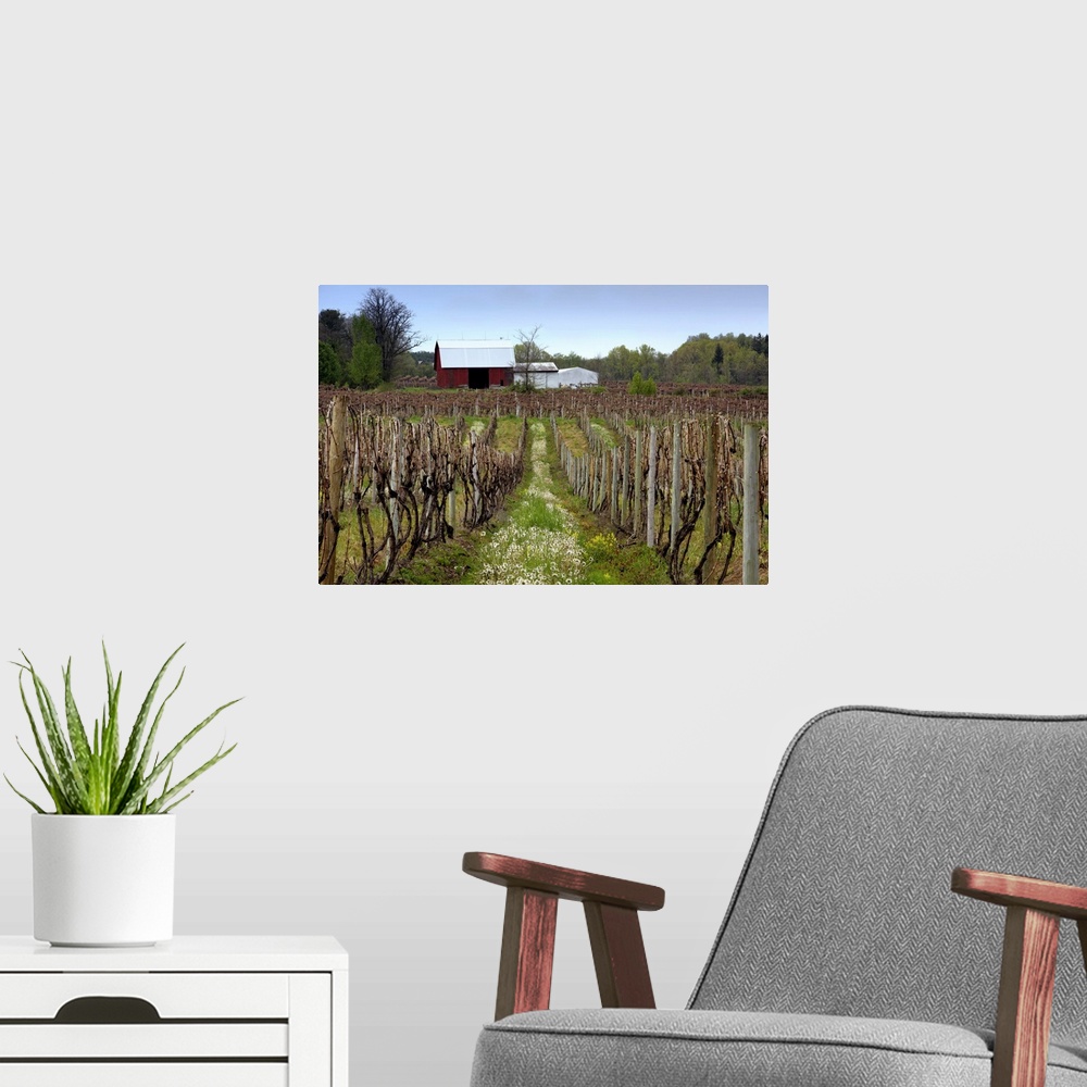 A modern room featuring A vineyard with a red barn in upstate New York.