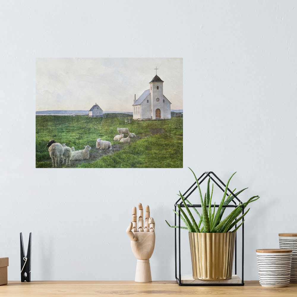 A bohemian room featuring A small flock of sheep in the field near a white church in Iceland.