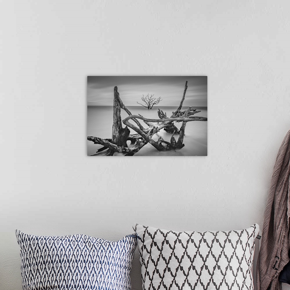 A bohemian room featuring Driftwood in shallow ocean water framing a lone tree in the distanec.