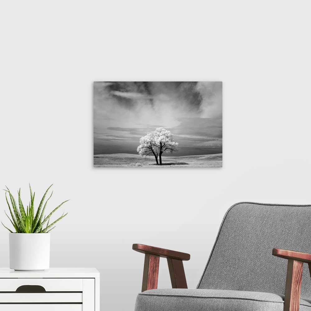 A modern room featuring Infrared image of a tree under a cloudy sky in the Badlands, South Dakota.