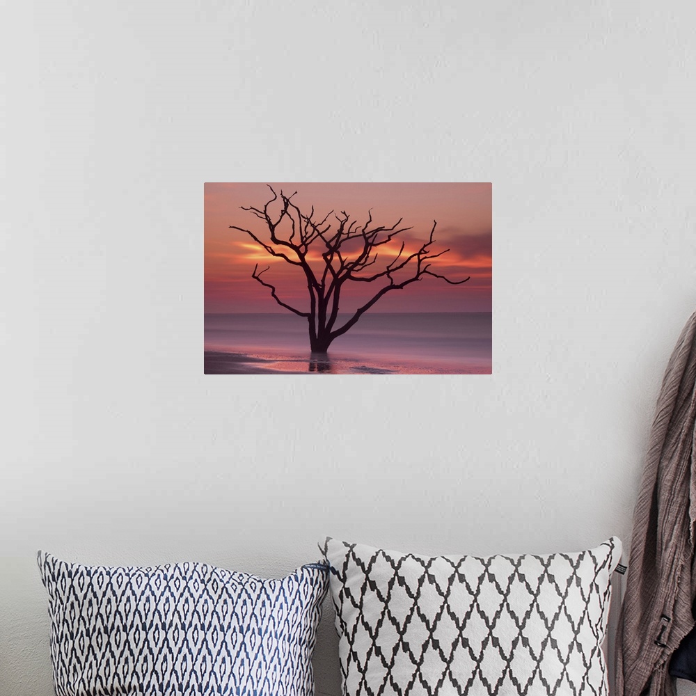 A bohemian room featuring Bare tree standing in the ocean, silhouetted against clouds glowing with sunset light.