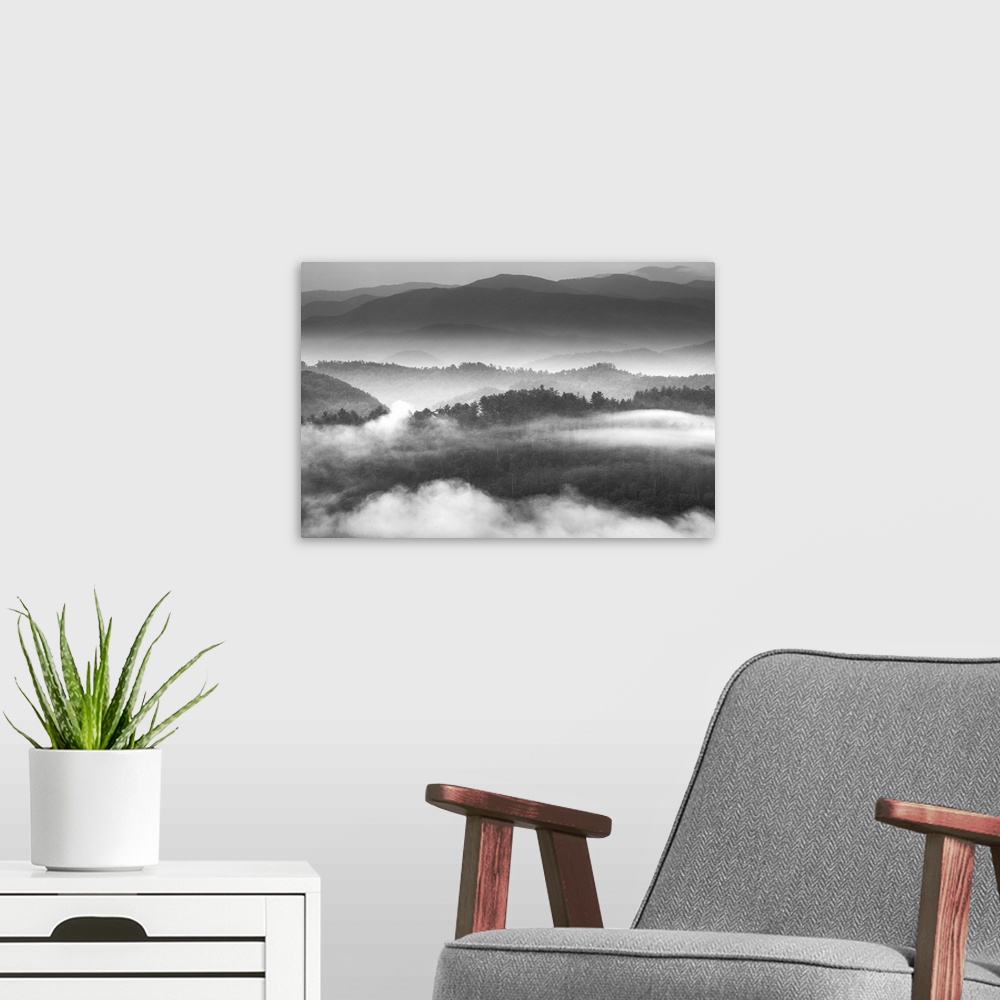 A modern room featuring Dense fog over the hills of the Blue Ridge Mountains on the Tennessee side in the morning.