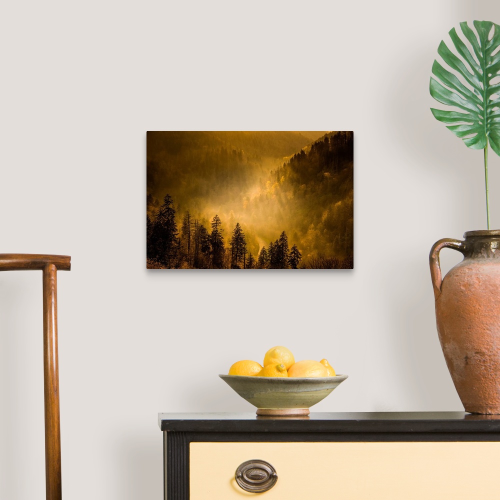 A traditional room featuring Golden sunlight in a misty valley in the Blue Ridge mountains.