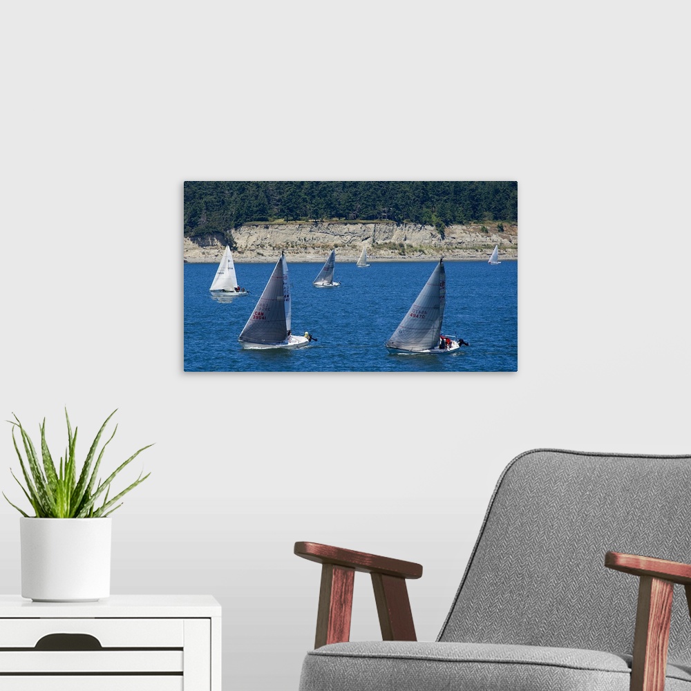 A modern room featuring A fleet of sailboats on the calm waters surrounding Whidbey Island, Washington, in the summer.
