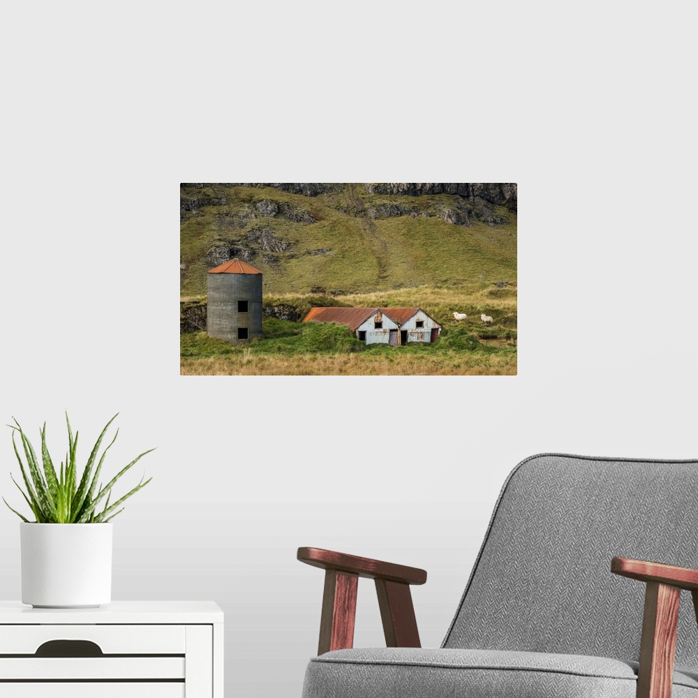 A modern room featuring Two sheep walking near rusted farmhouses and a silo at the bottom of a mountain in Iceland.