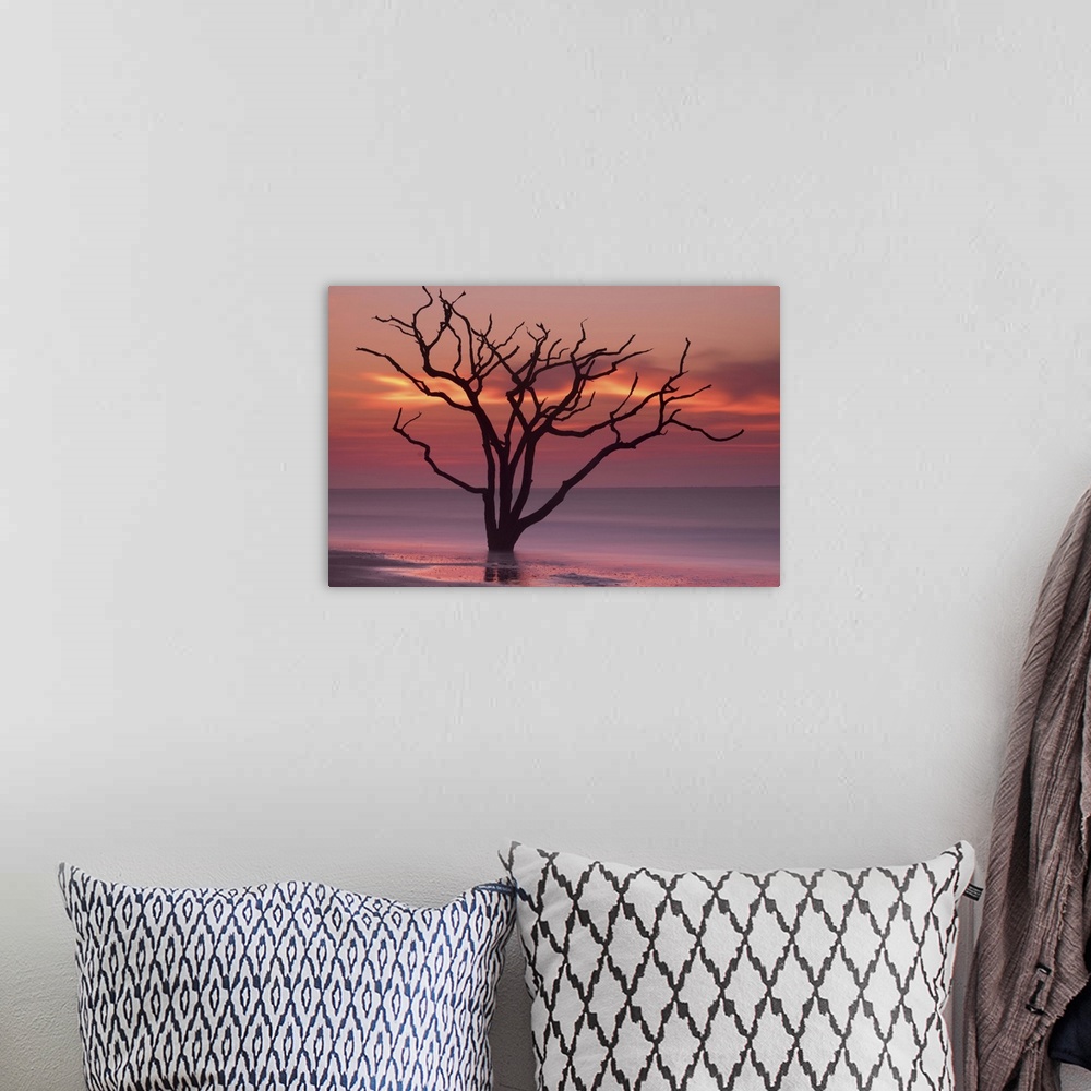 A bohemian room featuring A tree growing in the water off the coast of Botany Bay, South Carolina, under an orange sunset sky.